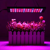 1000W LED Grow Light Full Spectrum Panel Lamp Indoor Flower Veg Plant Hydroponic Light_1